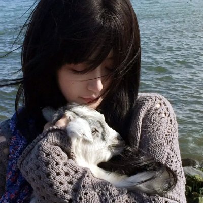 最后一镖 海报