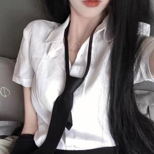 双生赤狐 海报